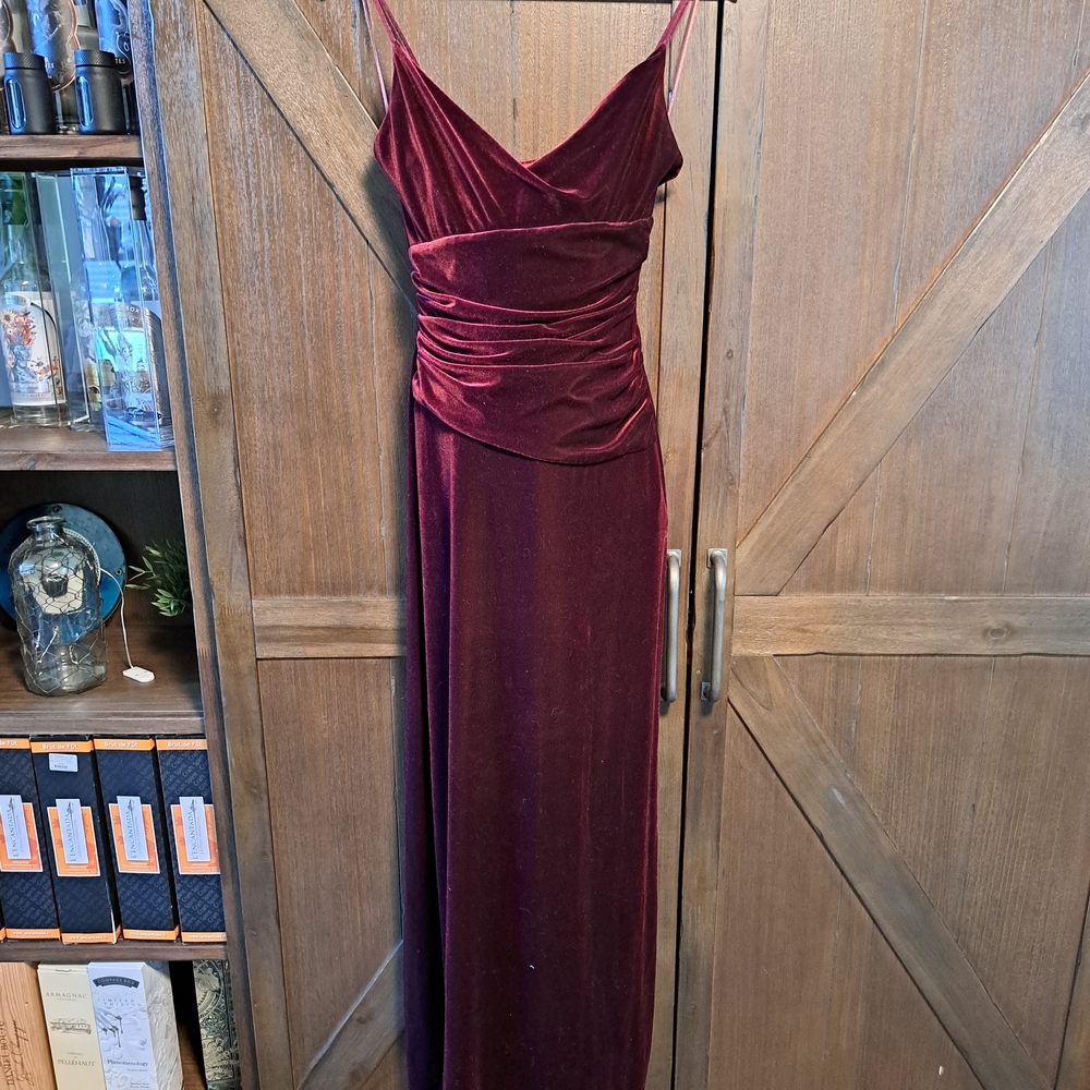 Rimini Strapless Burgundy Velvet Dress